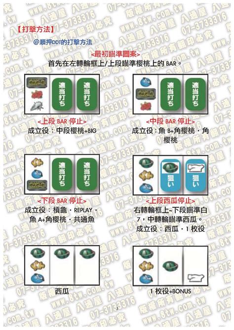 台改雷電3|歡迎光臨(雷電扶桑花)